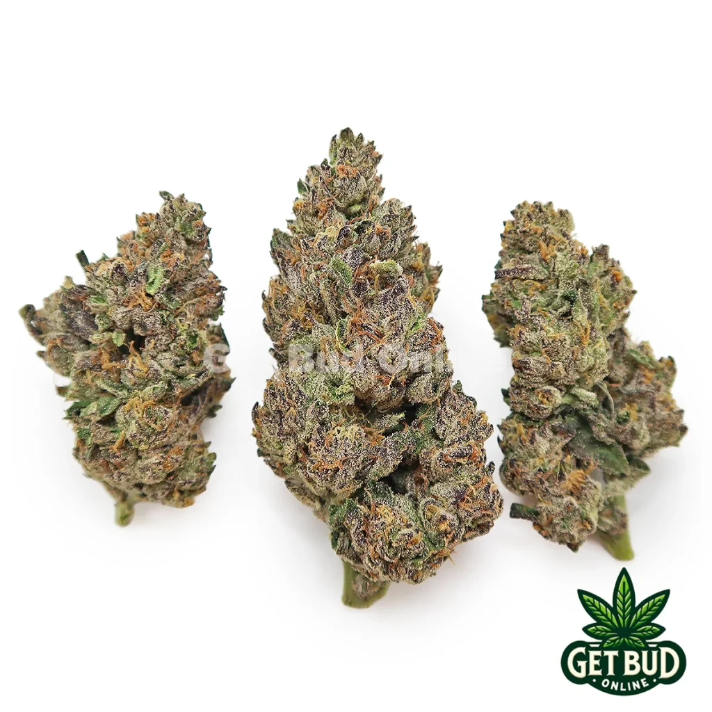 Trufflato (Value Buds)