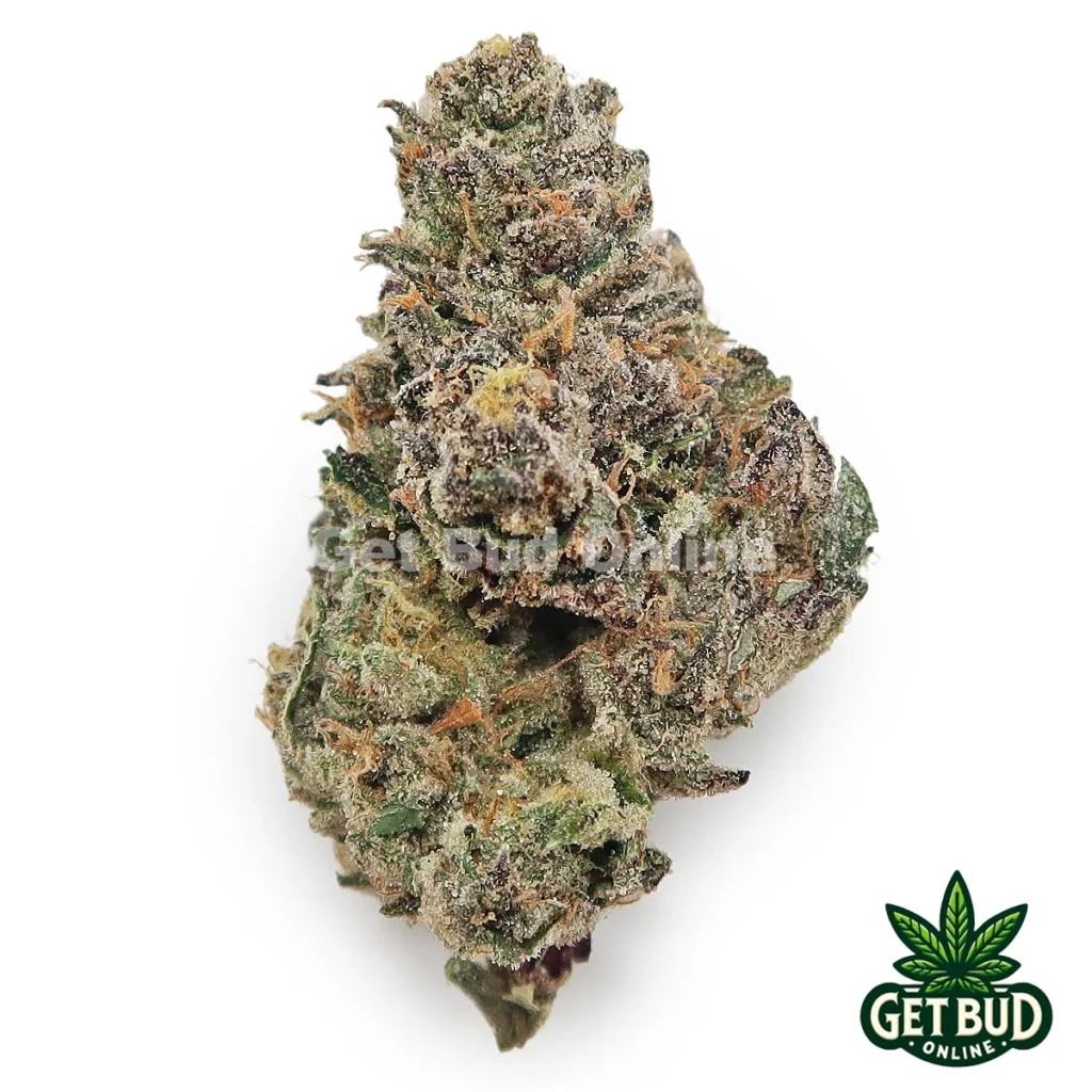 Mochi (Exotic Reserve Strain)