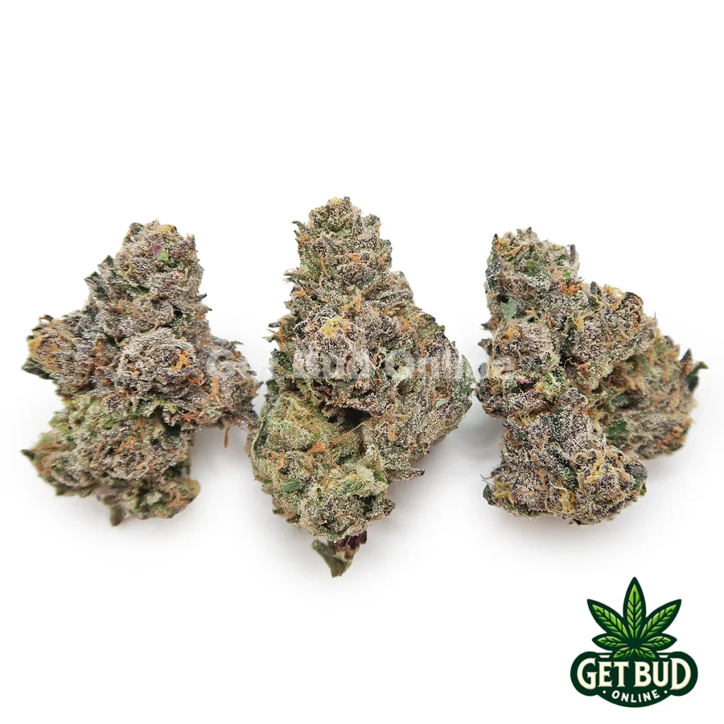 Mochi (Exotic Reserve Strain)
